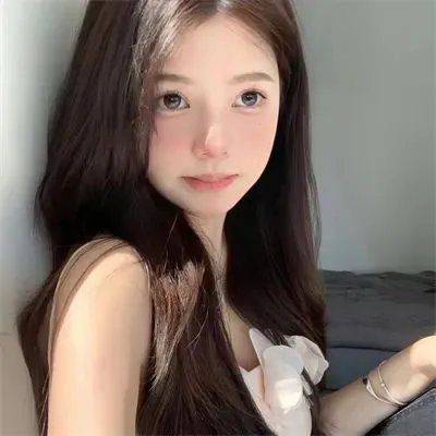 妖精森林的小不点
